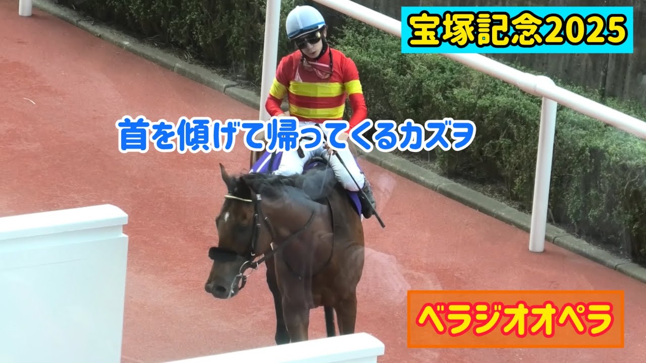 【宝塚記念2025】ベラジオオペラは軽い夏負けかも？首を傾げるカズヲ