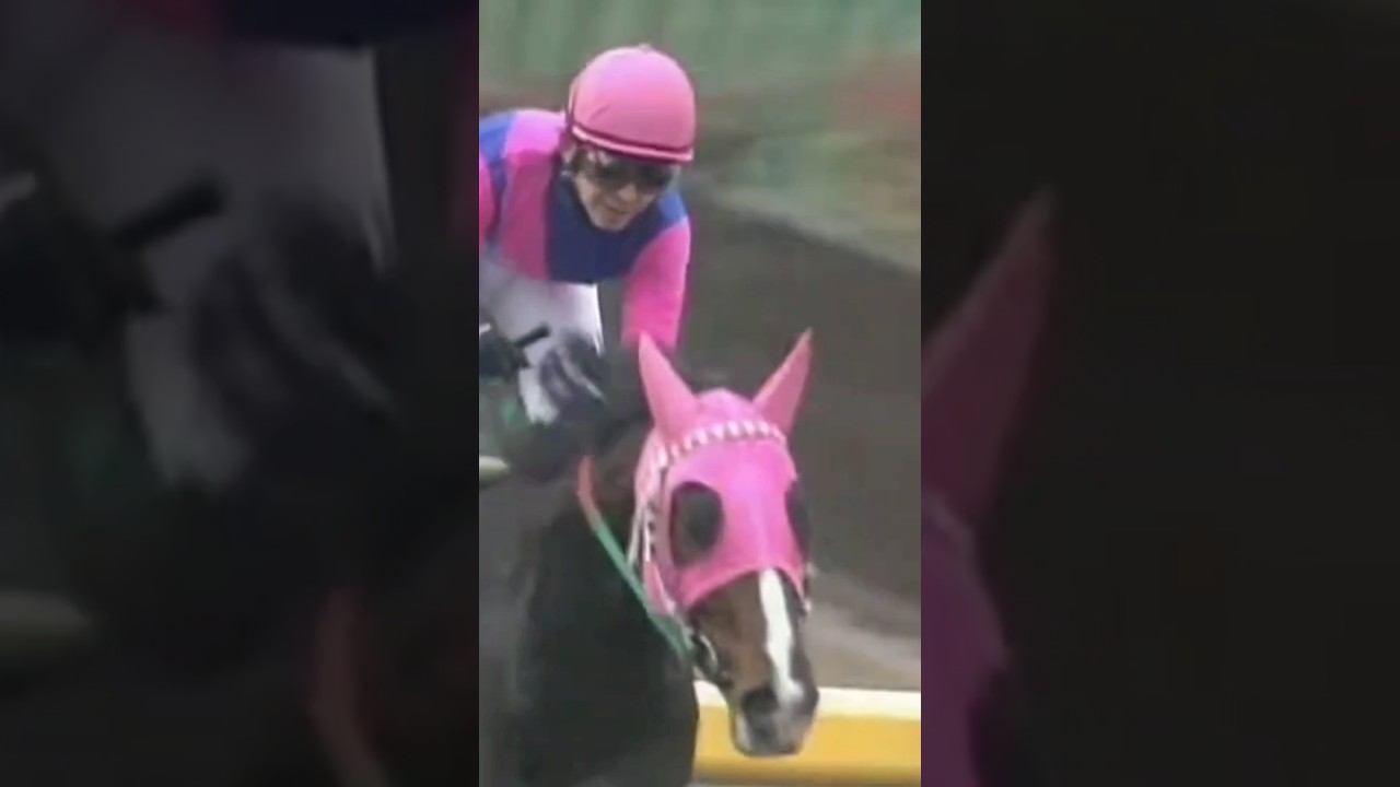 #shorts 2005 フェブラリーステークス #メイショウボーラー #福永祐一