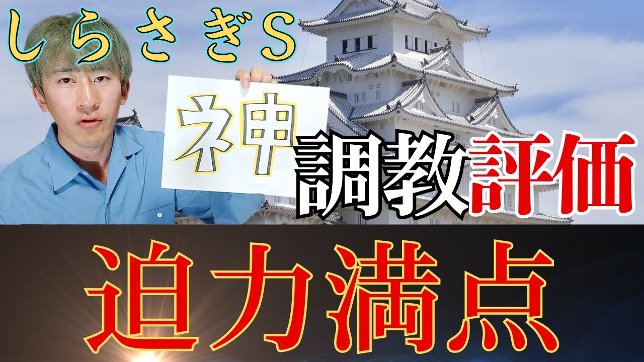 【しらさぎS調教】チェルヴィニアを抑えて調教神評価を獲得するのは…？ 全頭細かく見て解説します！#G1 #JRA  #競馬予想 #2025しらさぎステークス #追い切り