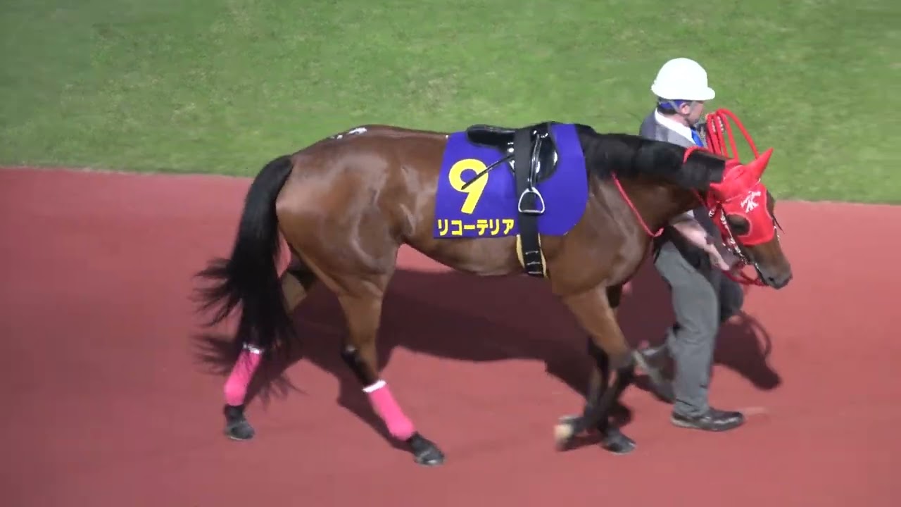 【関東オークス2025】全頭パドック 現地映像 ①メモリアカフェ