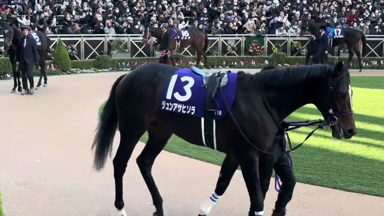 【ホープフルステークス2024】パドック1