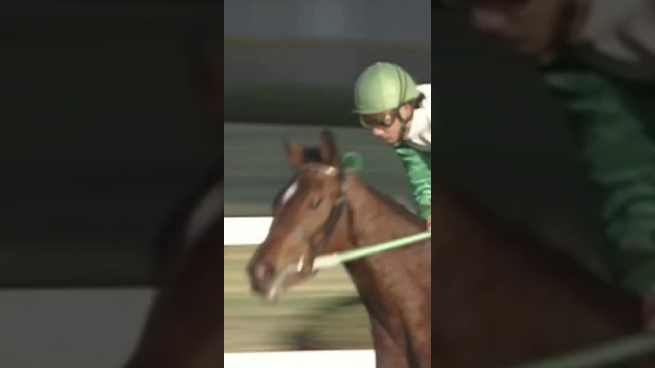 1996 阪神3歳牝馬ステークス（阪神ジュベナイルフィリーズ） #メジロドーベル #吉田豊