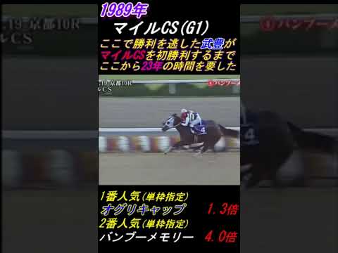 【武豊がオグリキャップに負けたマイルCSを語る！】｢完璧に乗って負けるのか･･｣ #オグリキャップ #バンブーメモリー #武豊