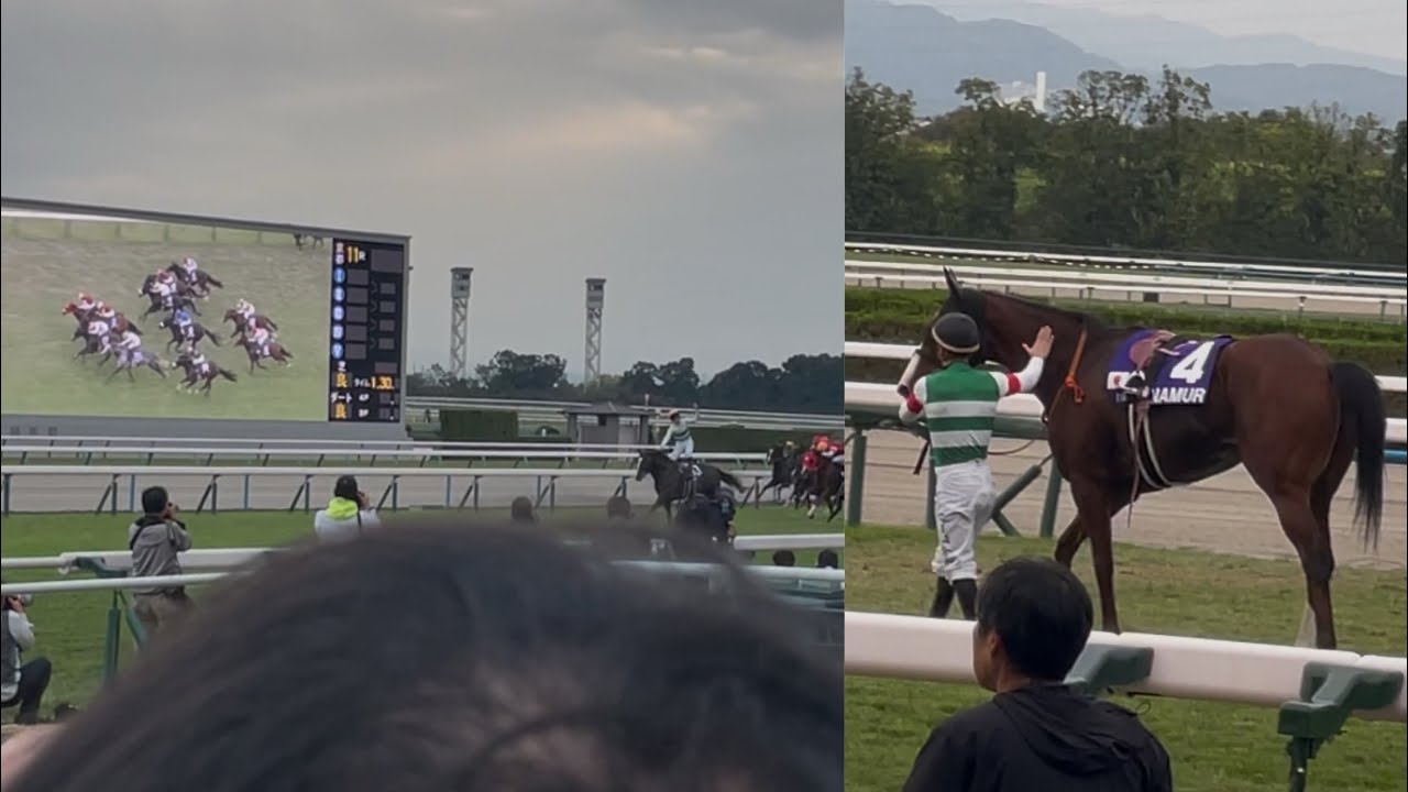 【団野ゴール前ガッツポーズ】 第41回 マイルチャンピオンシップ 現地映像 ソウルラッシュ ＆ 団野大成 (2024/11/17)【ナミュール大丈夫か】