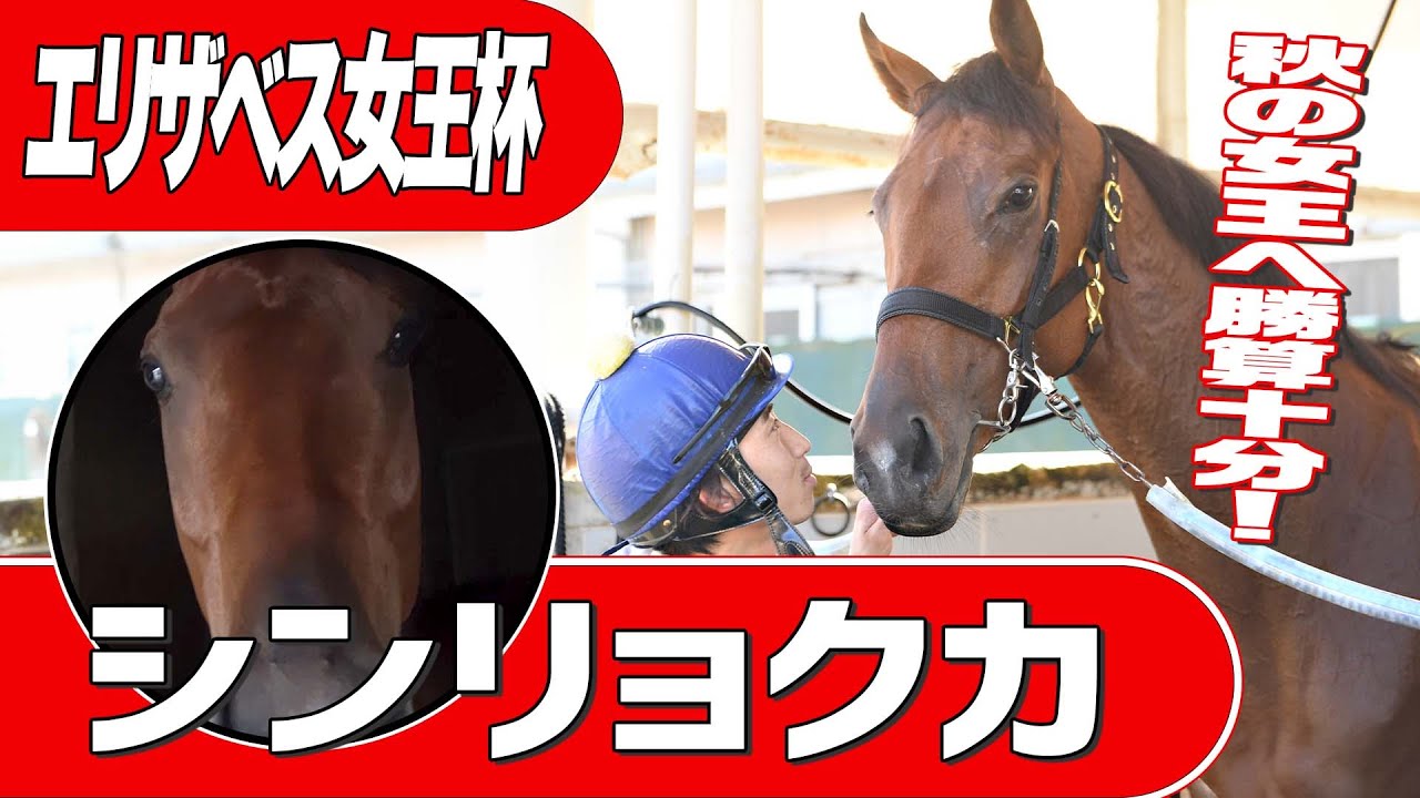 【エリザベス女王杯２０２４】シンリョクカ秋の女王へ勝算十分！《東スポ競馬》