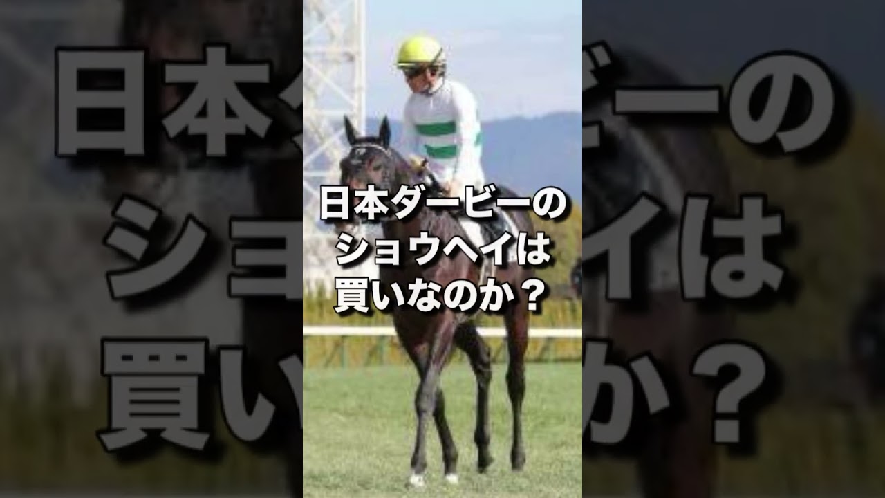 日本ダービーのショウヘイは買いなのか？ #日本ダービー #東京優駿 #ダービー #ルメール #ショウヘイ ‪#競馬 #競馬予想 #予想 #買い目 #メインレース #東京競馬場