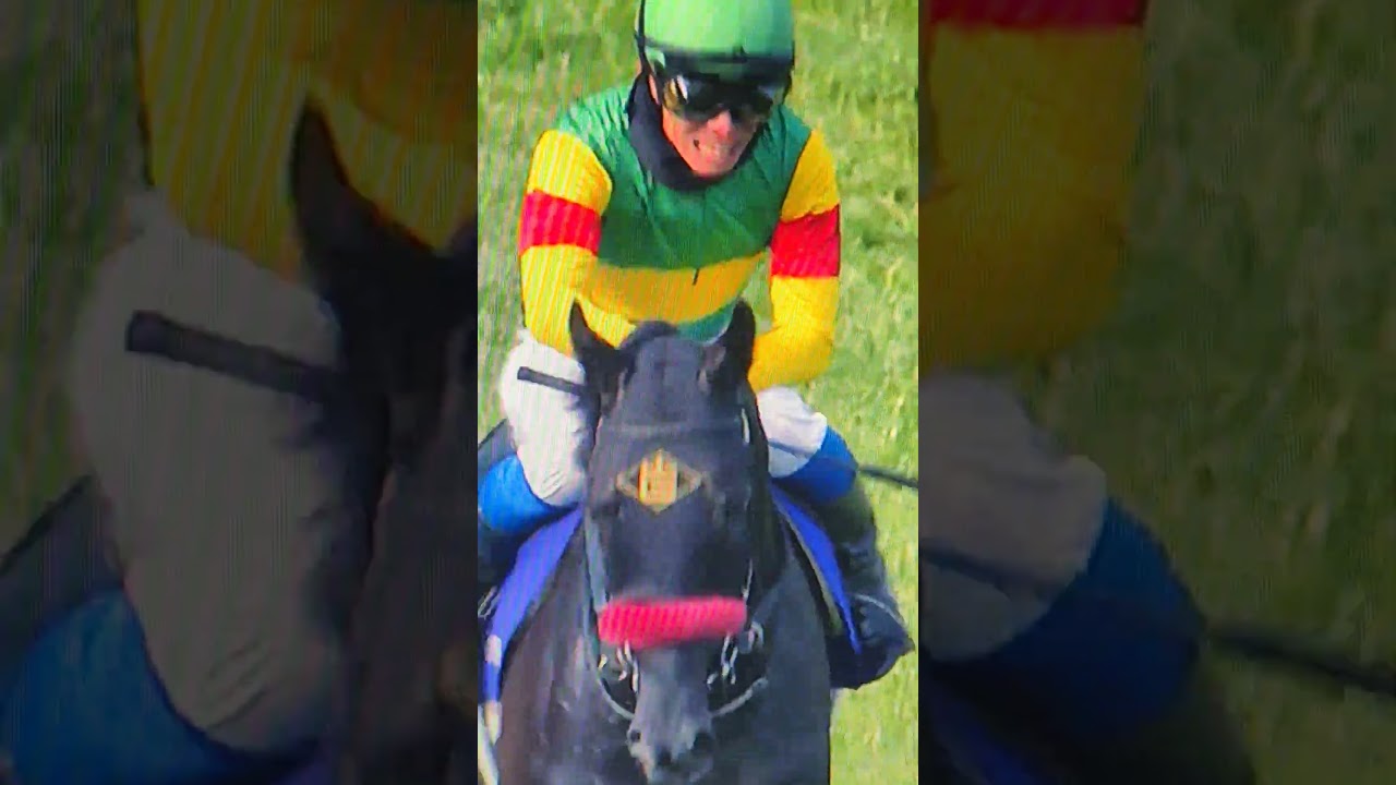 草野太郎騎手(エコロデュエル)号泣　　中山グランドジャンプ(JGⅠ)初制覇  20250419