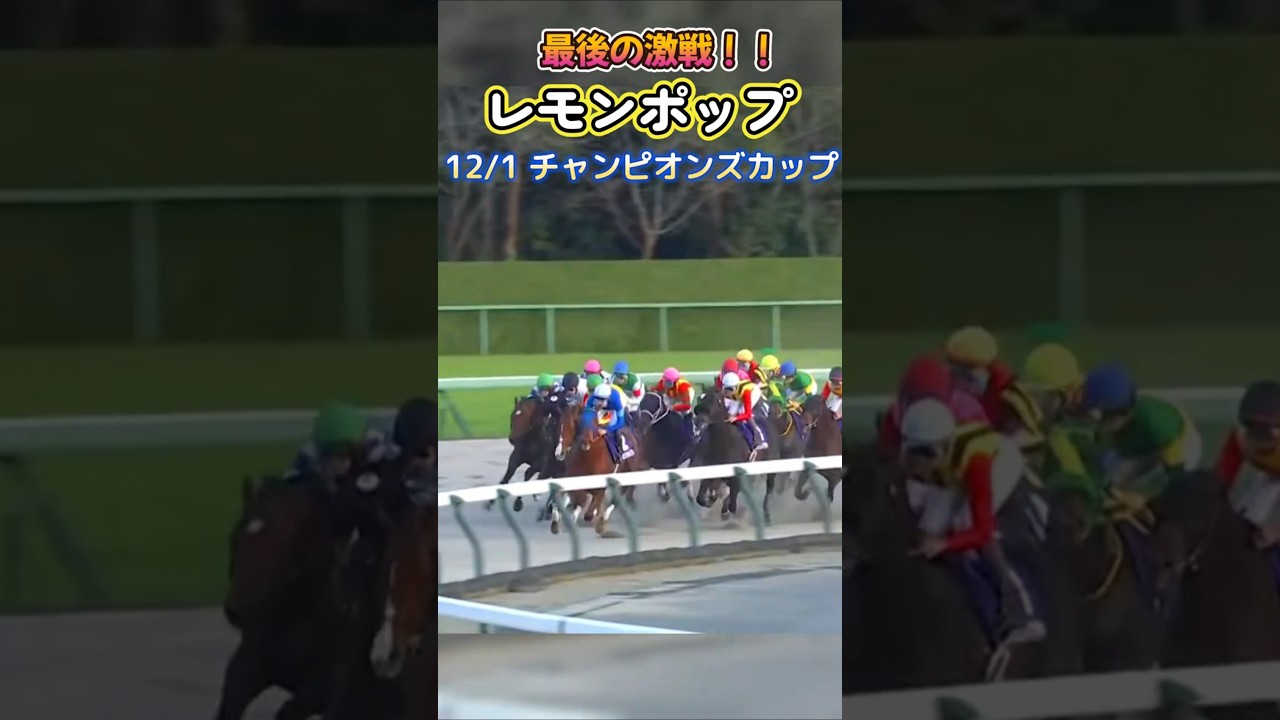 [チャンピオンズカップ結果]良かったわ~ぽ#競馬 #競馬予想 #馬 #shorts
