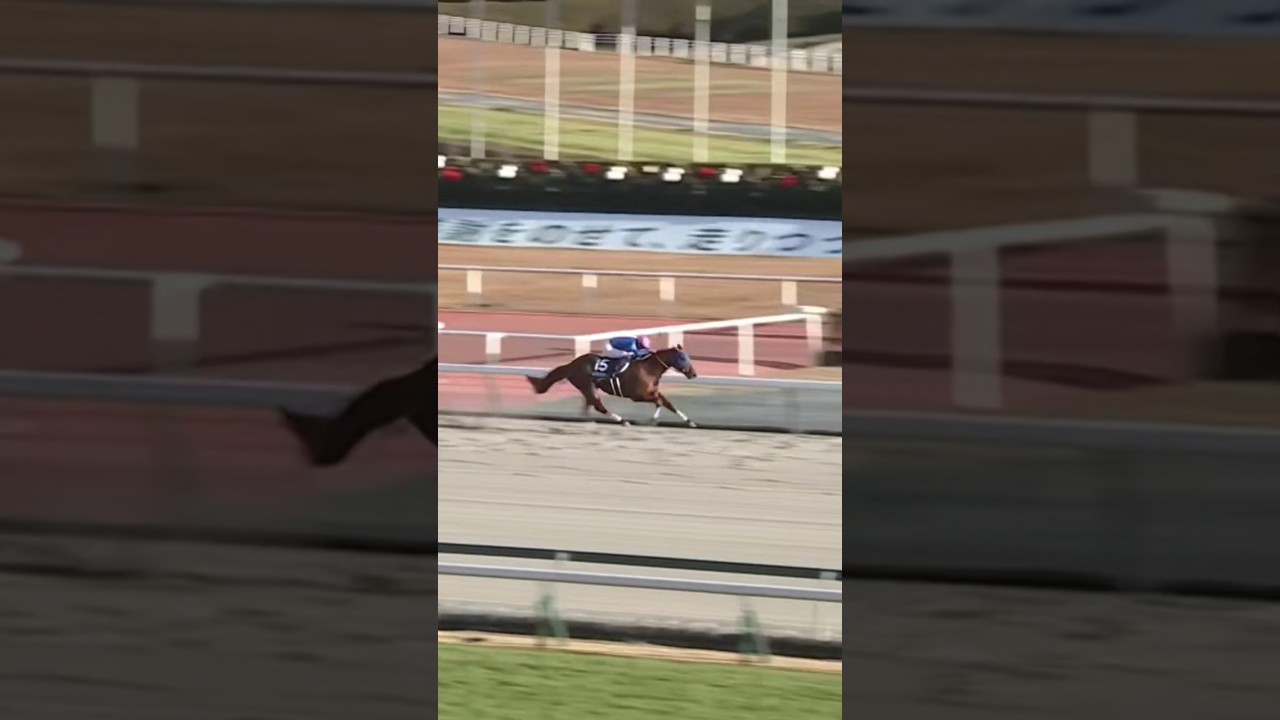 #shorts 2023 チャンピオンズカップ #レモンポップ #坂井瑠星