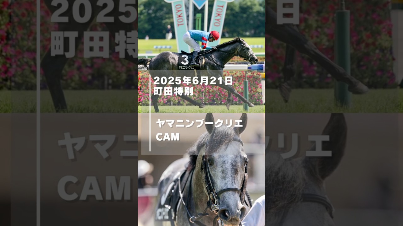 【2025年町田特別現地】ヤマニンブークリエCAM【キタサンブラック産駒】