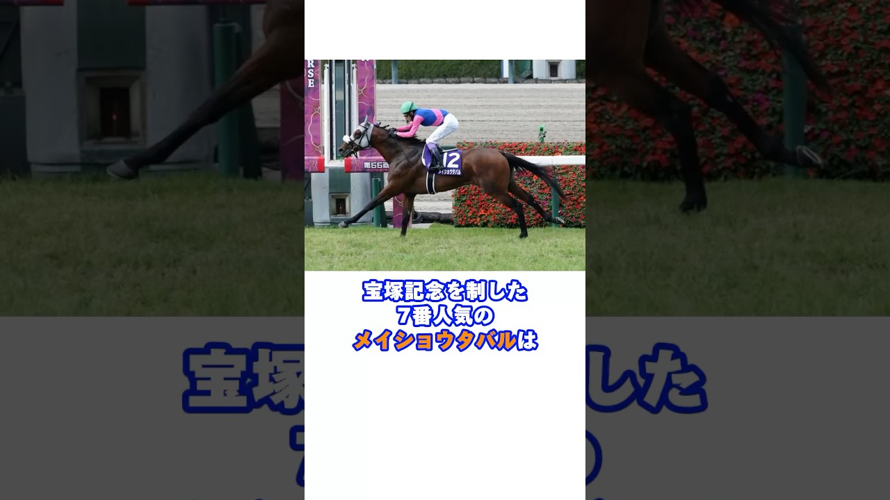 宝塚記念を制したメイショウタバル#宝塚記念 #メイショウタバル #武豊 #競馬 #阪神競馬場