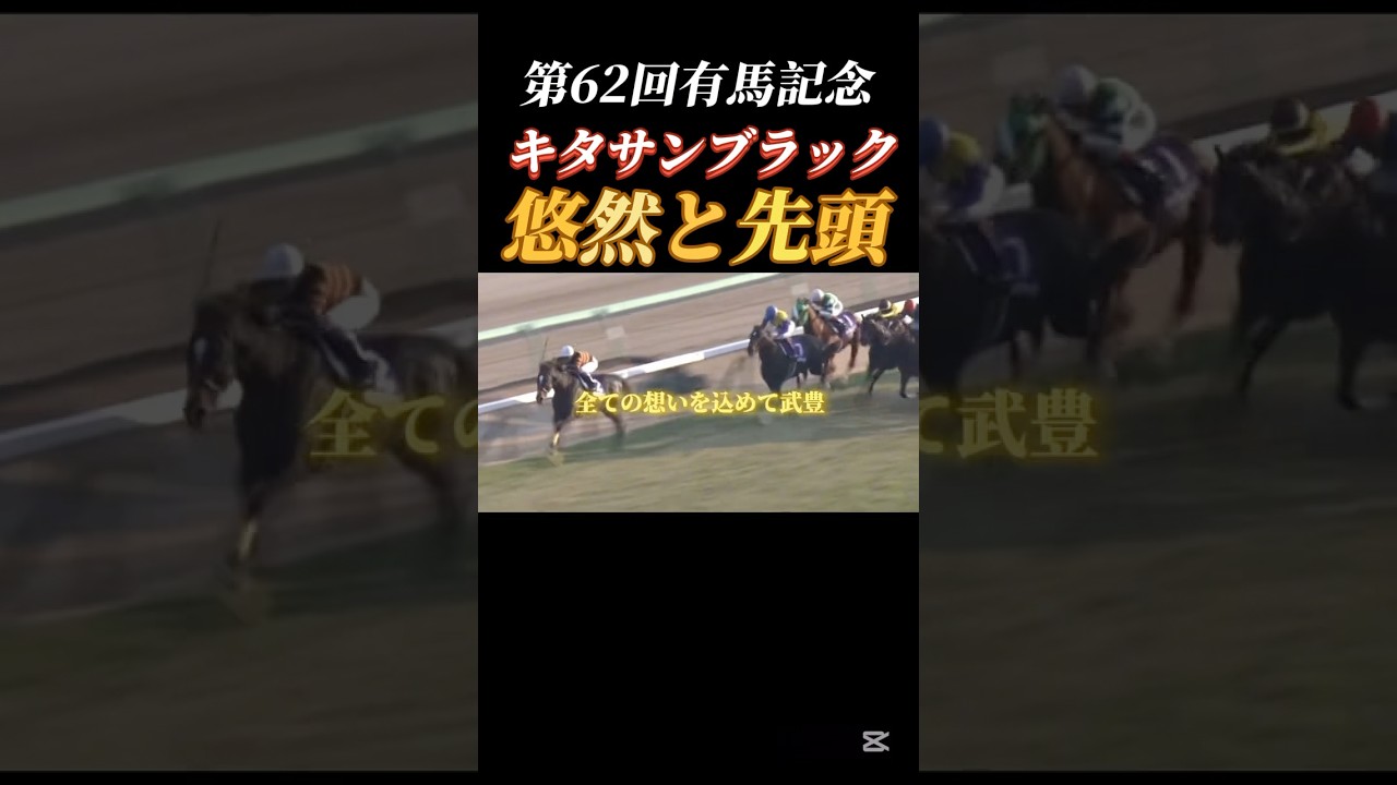 【悠然と先頭】第62回グランプリ有馬記念#競馬#競輪#競艇#ギャンブル#ギャンブル依存症#有馬記念