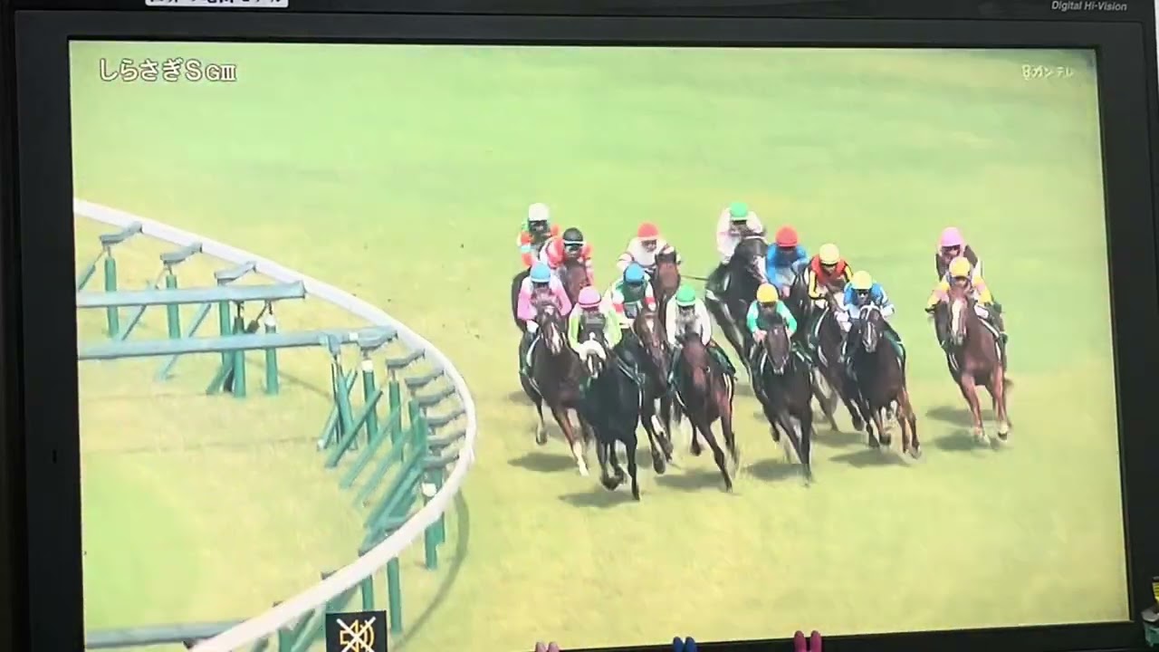 【競馬実況動画2025】第1回しらさぎステークス　キープカルム（坂井瑠星）
