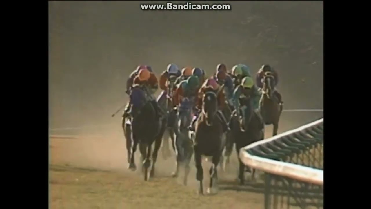 1988.10.30 天皇賞（秋）タマモクロスｖｓオグリキャップ