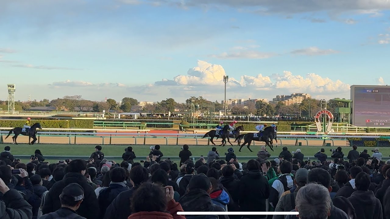 2024 12 28 中山11R ホープフルS 返し馬