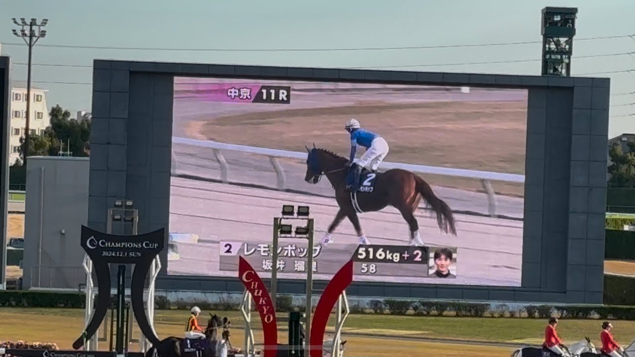 【現地】2024年 チャンピオンズカップ 本馬場入場 レモンポップ、ウィルソンテソーロ他