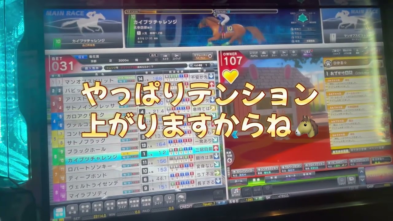 初期株券から怪物を目指す・ω・番外編🐴三冠チャレンジ
