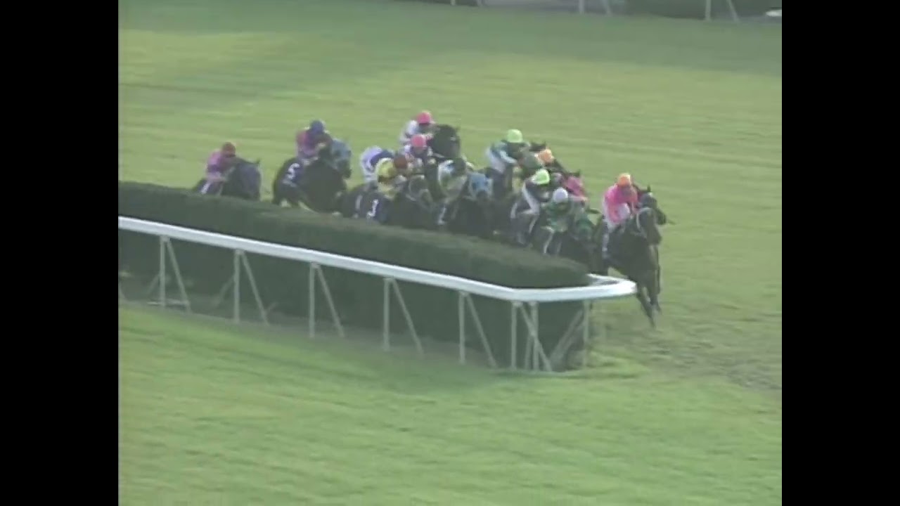 ノースフライト 1994年 第11回マイルチャンピオンシップ(GI)  (優勝馬：ノースフライト)