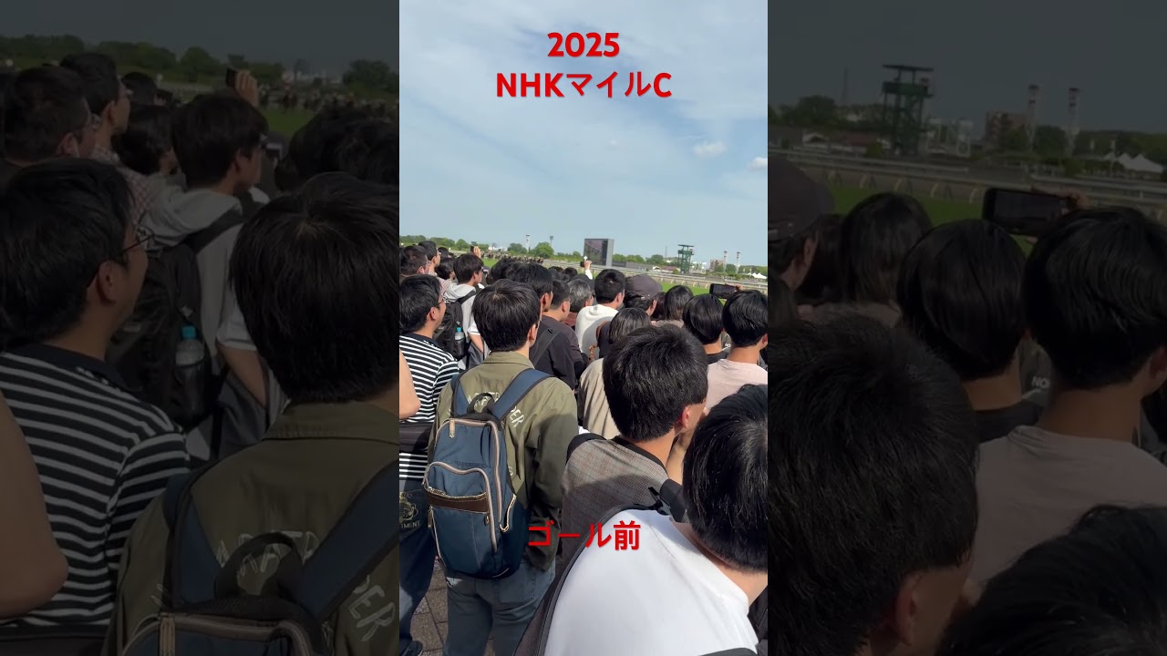 2025NHKマイルC 現地　#競馬 #中央競馬予想 #nhkマイルカップ #馬券 #東京競馬場 #JRA #jra #g1 #shorts #short #パンジャタワー