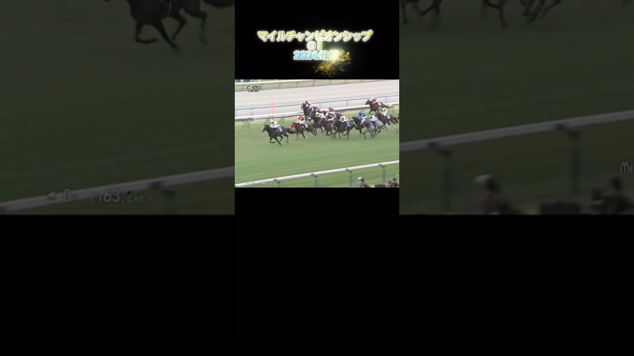 マイルチャンピオンシップ　GⅠ 2024.11.17♯競馬♯ウマ娘♯京都♯1600