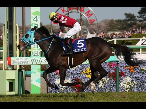 2016 中山大障害 JG1 オジュウチョウサン