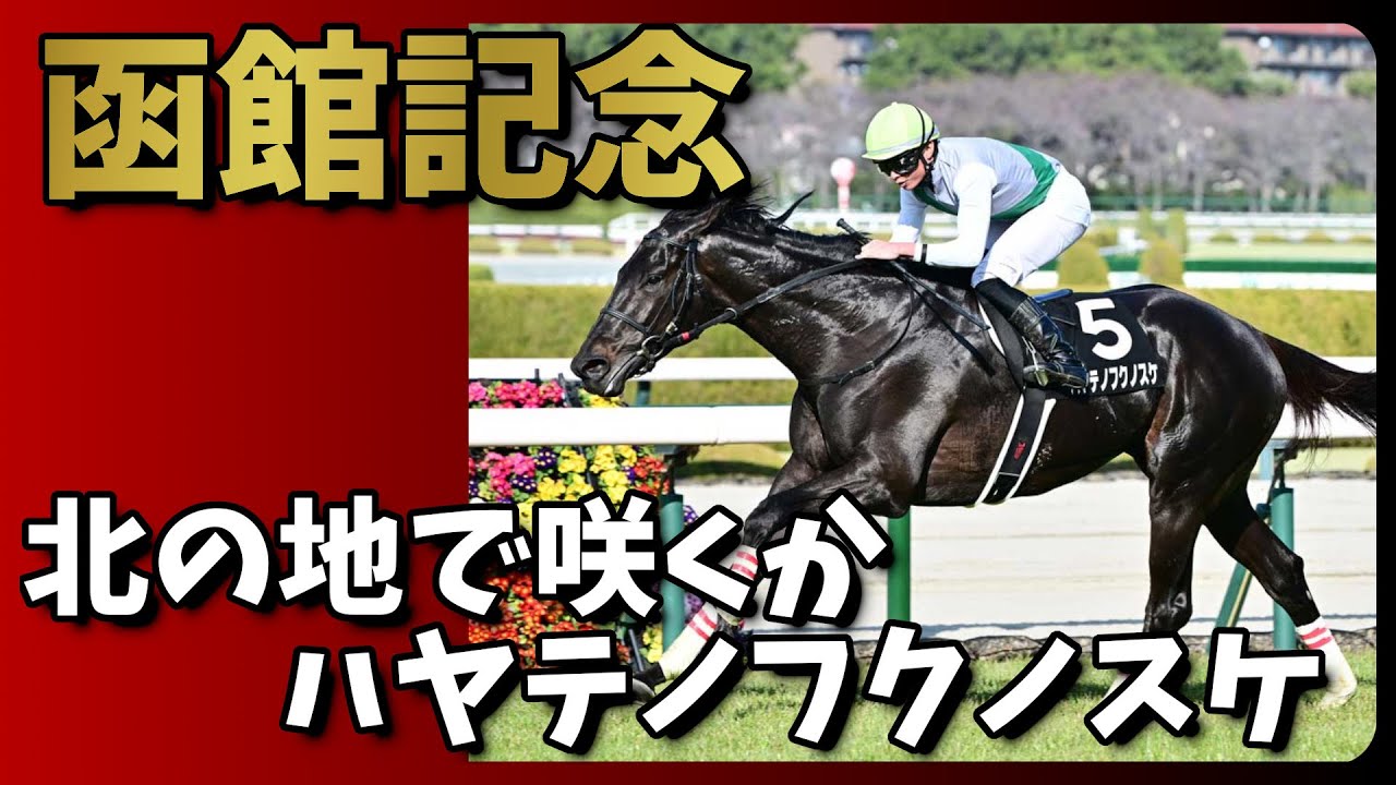 【競馬】ハヤテノフクノスケ 北の地で咲くか 函館記念【重賞】