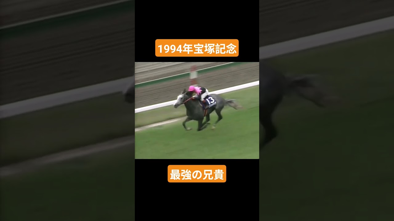 【1994年宝塚記念】ライバル不在の中それでも揺るがぬ王者の証明 #競馬 #ビワハヤヒデ#宝塚記念#shorts