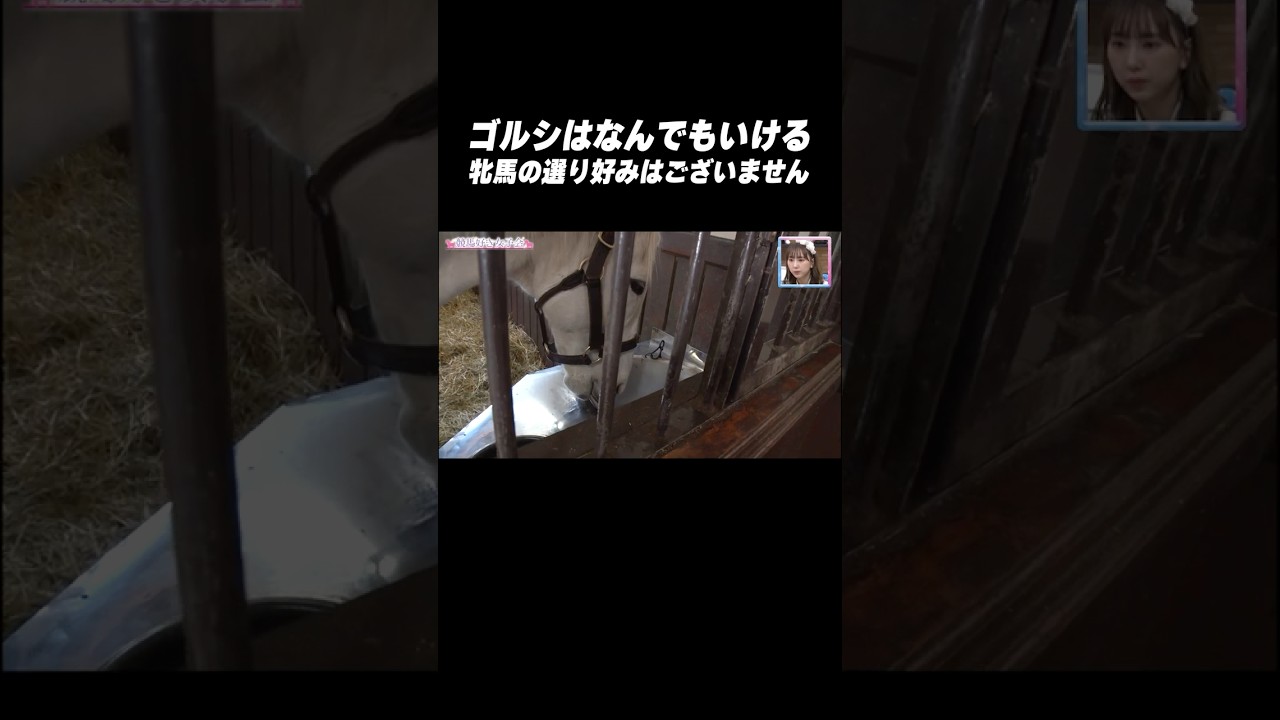#ゴールドシップ は種付け上手😏 牝馬の選り好みはございません（笑）#shorts