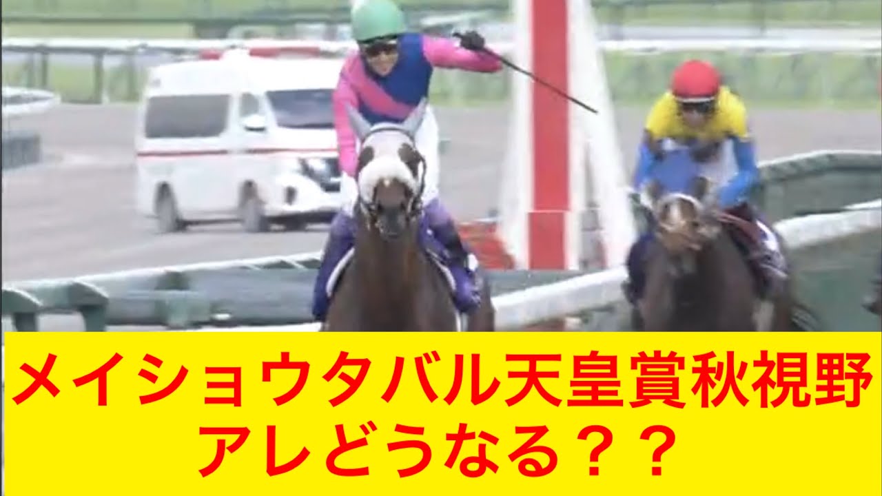 【競馬】メイショウタバルが天皇賞秋2025を視野に！アレはどうなるのか？ファンは何を思う？【競馬の反応集】