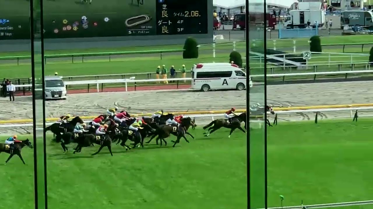 【1.5倍ズームUP】第84回優駿牝馬 オークスGⅠ ➄リバティアイランド圧勝 2023.05.21 東京競馬場メモリアルスタンド4階80番