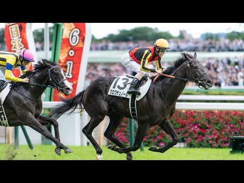 東京11R東京優駿日本ダービー2025クロワデュノール