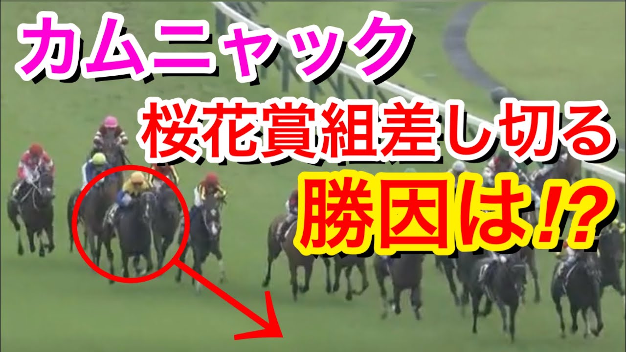 【オークス(優駿牝馬)2025】カムニャック(4人気)が直線で後方外から一気に差し切り勝ち！勝因は何だったのか！？【競馬の反応集】