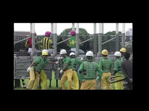 東京競馬第11R 東京優駿(日本ダービー)