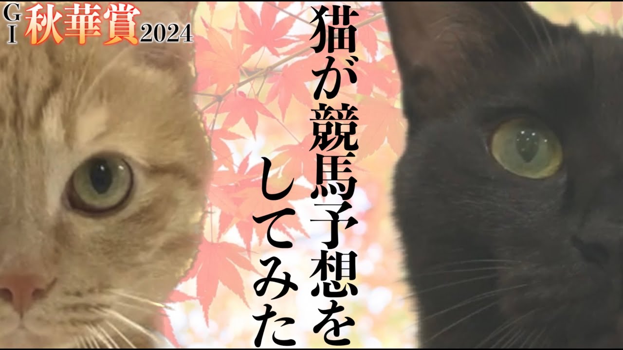 【秋華賞2024】うちの猫が競馬予想をしたのでお見せします
