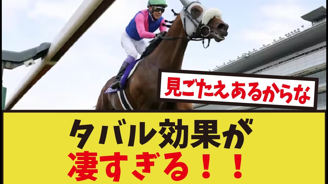「メイショウタバルの宝塚記念の再生数がヤバすぎる」に対するみんなの反応集