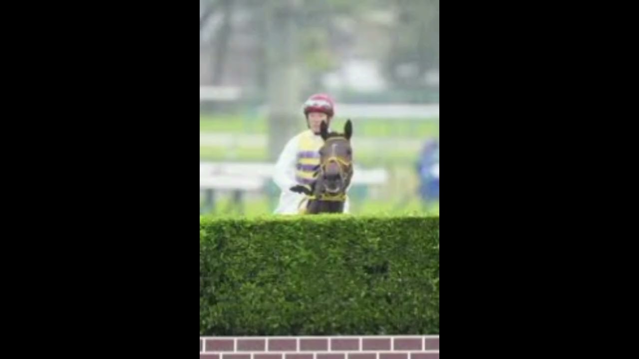 【中山大障害】ニシノデイジー　圧勝V　待望の復活劇　五十嵐「力を十分に出すことができた」