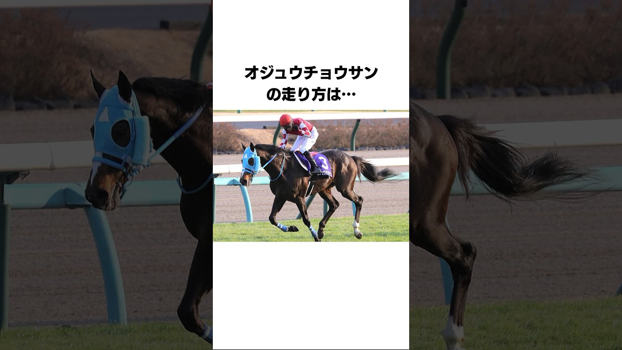 オジュウチョウサンの面白い雑学#競馬 #shorts