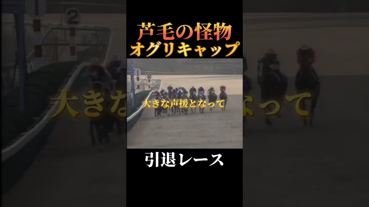 【有馬記念】オグリキャップ引退レース#競馬#競艇#競輪#ギャンブル#ギャンブル依存症