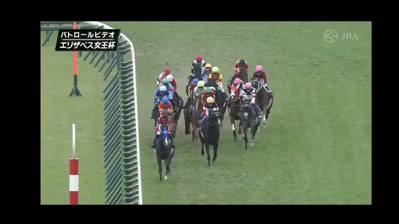 2024  エリザベス女王杯パトロール　#競馬#エリザベス女王杯#スタニングローズ #パトロール#ルメール
