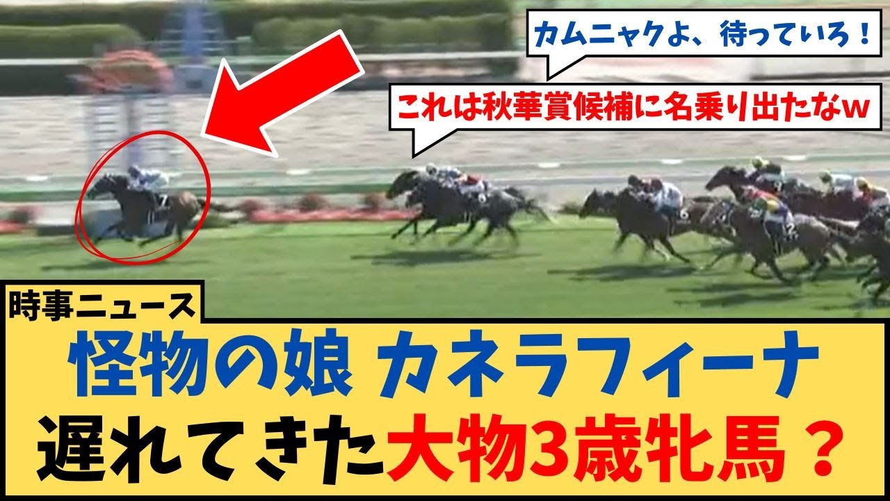 【競馬】「怪物の娘 カネラフィーナ 遅れてきた大物3歳牝馬？が話題に…」に対するコメント集【反応集】