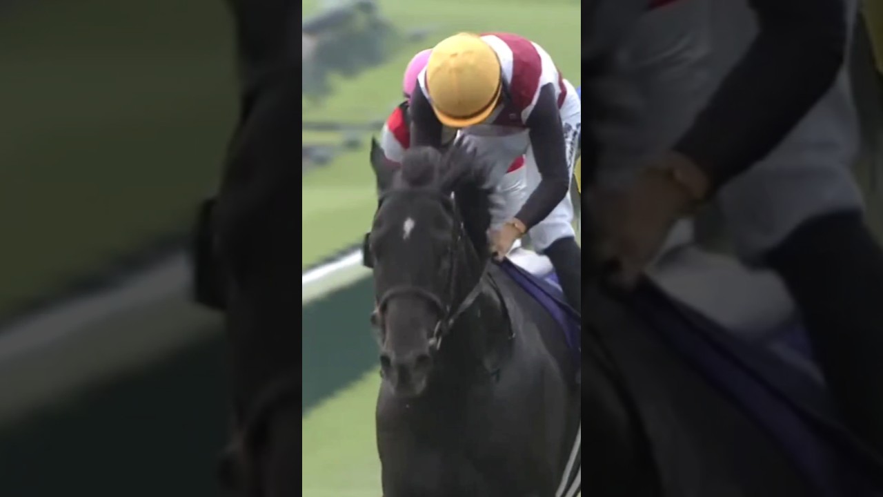 #shorts 2024 スプリンターズS #ルガル #西村淳也