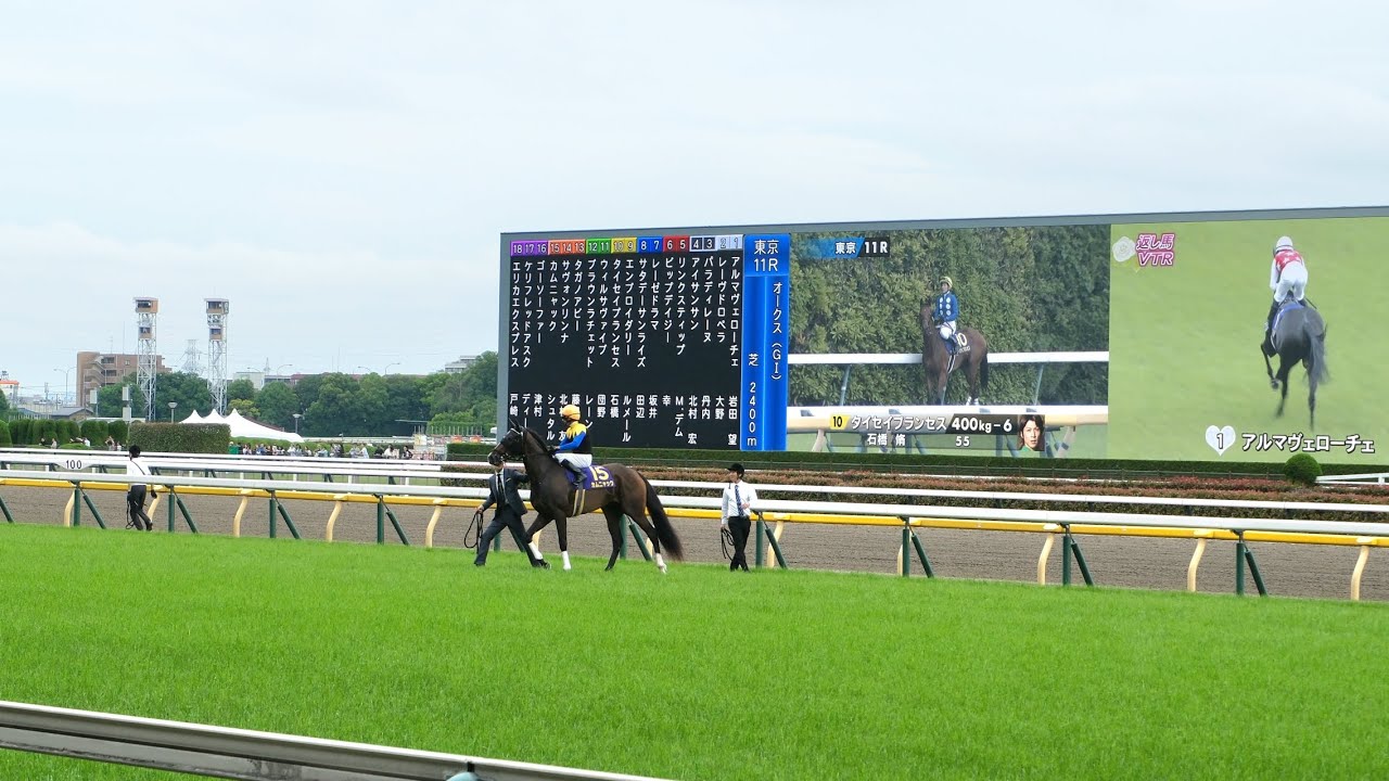 2025/5/25 東京競馬場 東京11R オークス 優駿牝馬 本馬場入場 返し馬