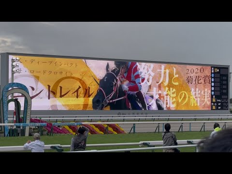 【現地映像】 第41回 マイルチャンピオンシップ ターフビジョン映像 (2024/11/17)