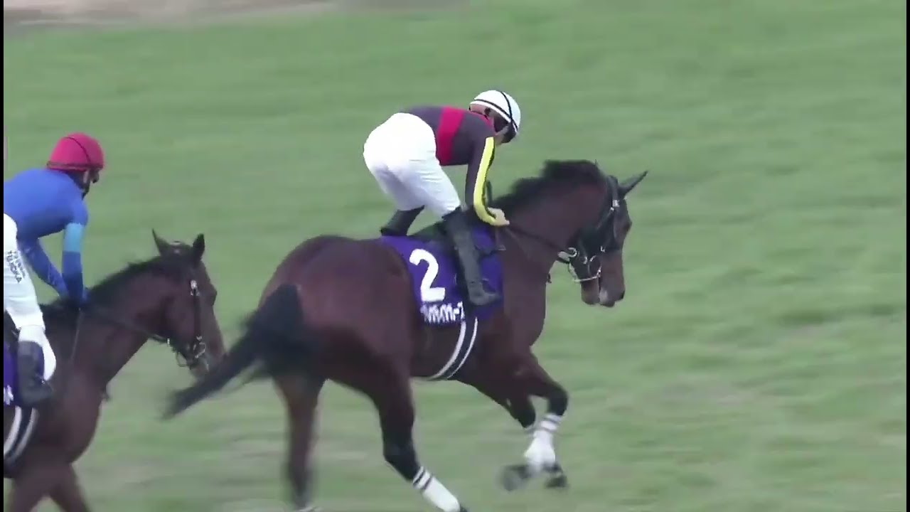 2020年 第72回 朝日杯フューチュリティステークス(G1)(グレナディアガーズ、川田将雅)