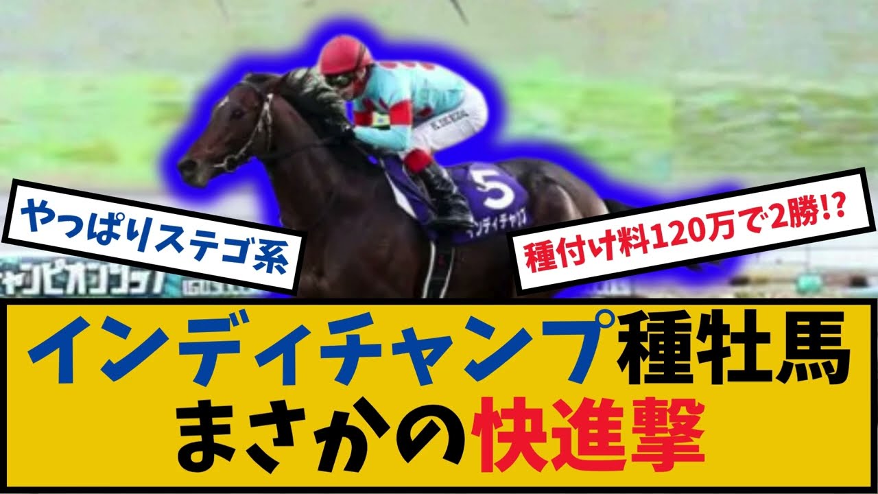 【祝】インディチャンプ産駒が2勝目！種付け料120万でコスパ最強？ステゴ系復活の狼煙か