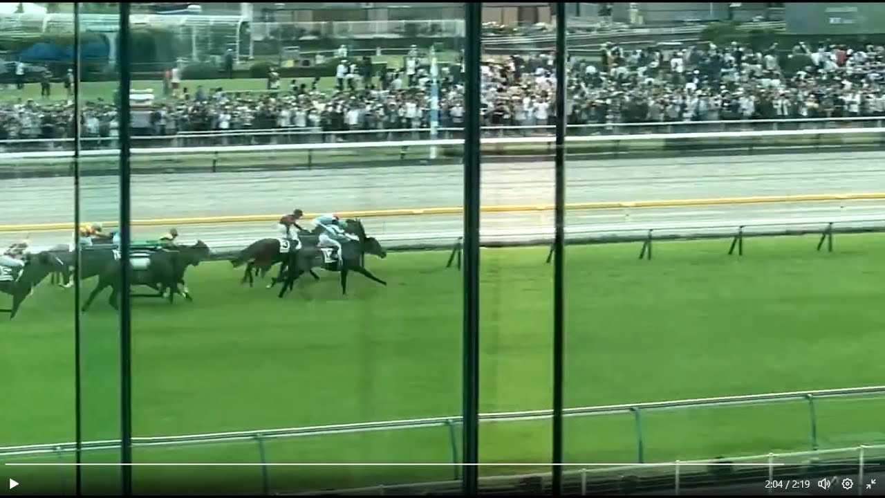【1.5倍ズームUP】第90回東京優駿日本ダービーGⅠ ⑫タスティエーラ競り勝ち 2023.05.28 メモリアルスタンド3階