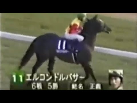 第18回ジャパンカップ(G1) 1998年 本馬場入場