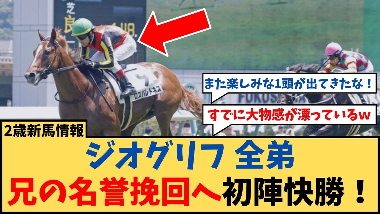 【2歳新馬】「ジオグリフ全弟 兄の名誉挽回へ初陣快勝！」に対するコメント集【反応集】