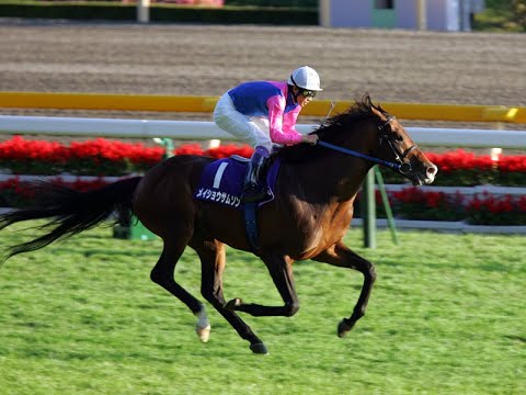 2007　天皇賞秋 GⅠ　メイショウサムソン　武　豊
