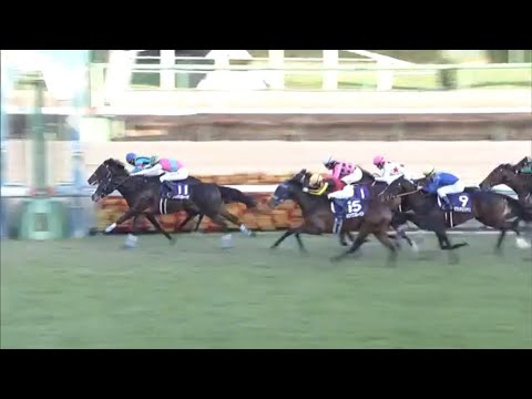 競馬予想　ホープフルステークス2023